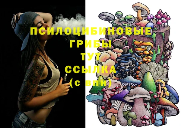 ешки Волоколамск