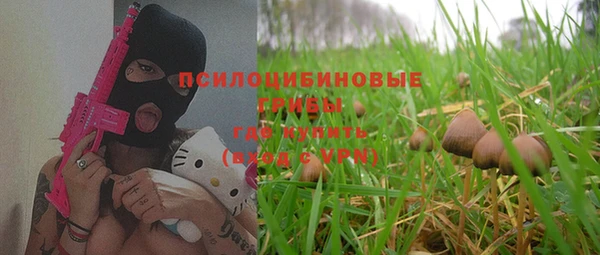 ешки Волоколамск