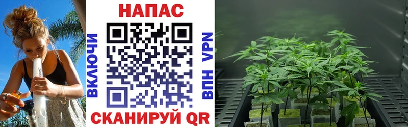 Купить  Мамадыш  Шишки марихуана THC 21% 